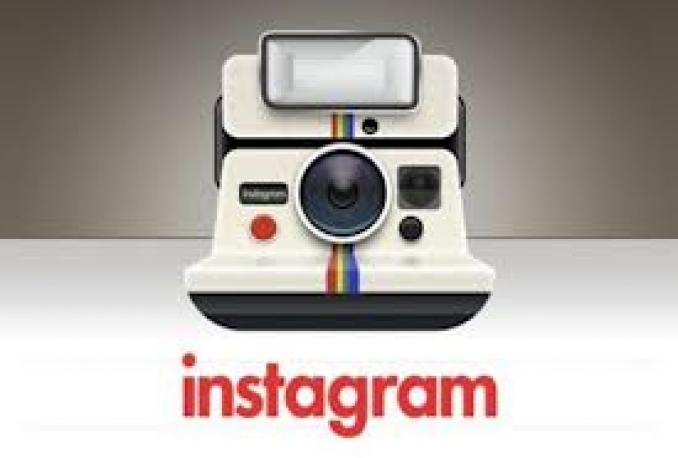  give you High Quality 1000+ Instagram followers 
