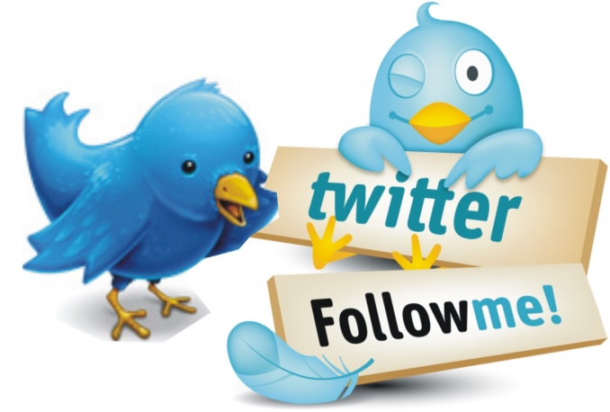 Give You Real, Permanent & Human Verified Active 500+ Twitter Followers
