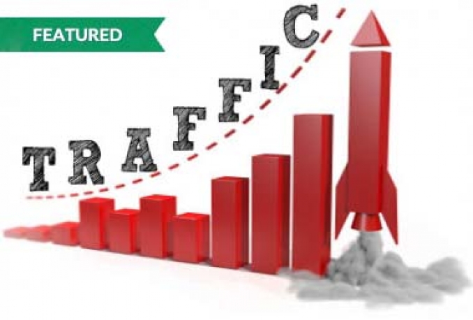 I will drive real Unlimited Website TRAFFIC to your website 