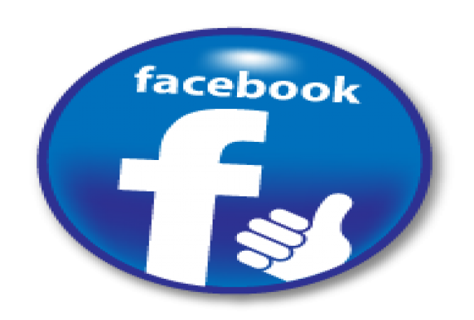 I will Gives you 4,000+Instantly started Active Facebook Fan Page likes 
