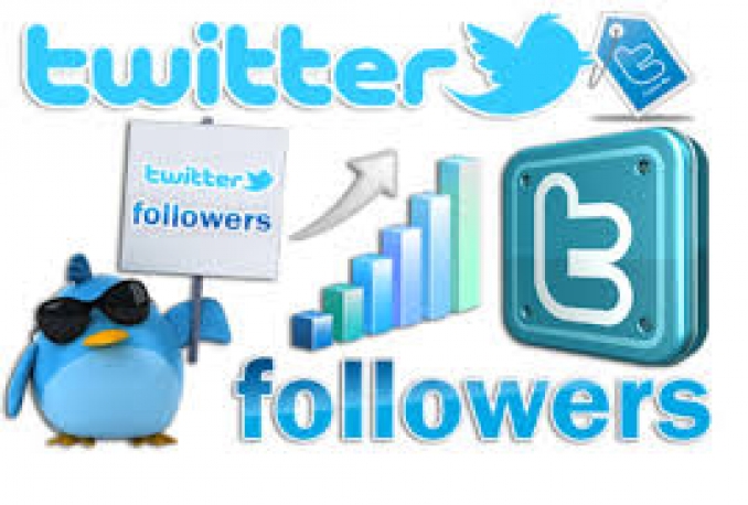 Twitter 200,000+Stable/NON Drop/Fast Followers.