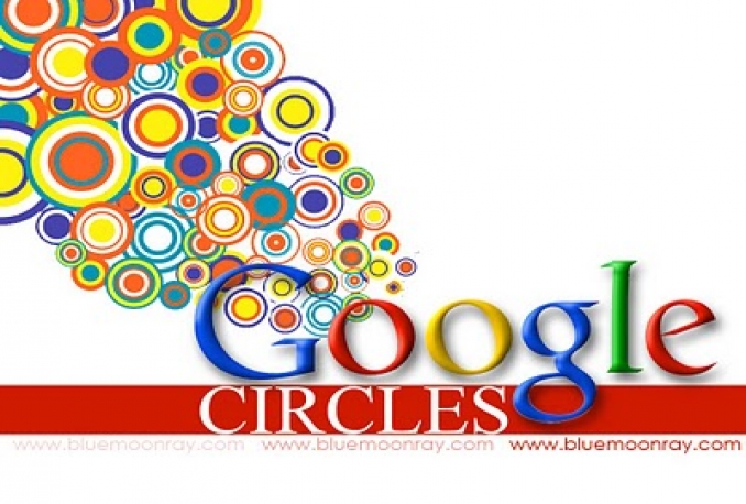 Give You 100% Real & Non drop 1000+ Google Plus Followers To Your Circle