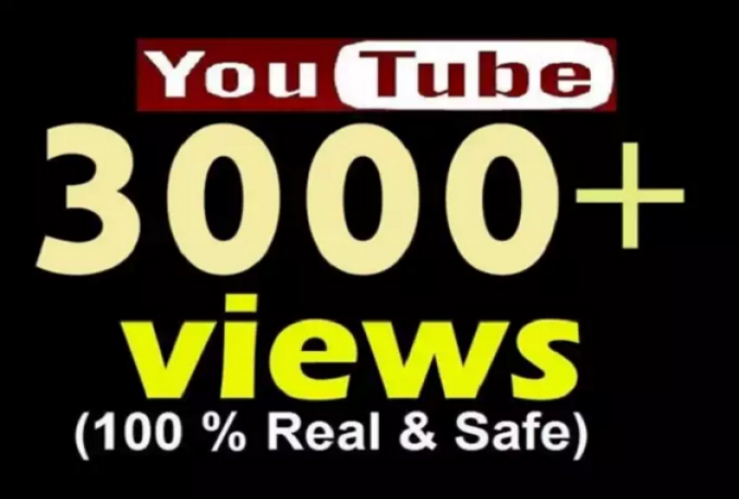 Provide 3000 REAL FAST NON DROP YouTube Views 
