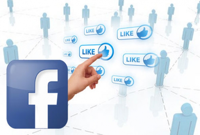 Provide 500 Facebook Fanpage Likes