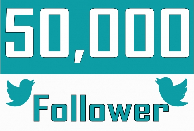 Add 50,000 Twitter Followers 