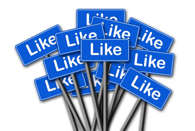 Give you 2000 Facebook likes on your Fan Page