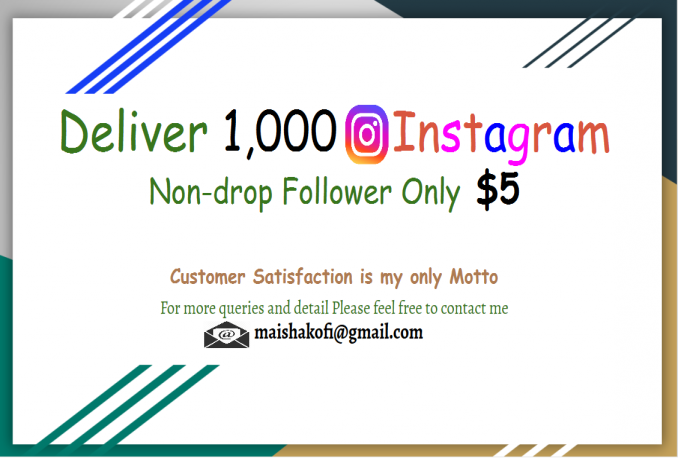 Give you 1000+ REAL Instagram Followers