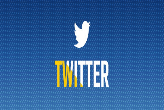 deliver 10,000 Twitter Followers With Refill 30 days 