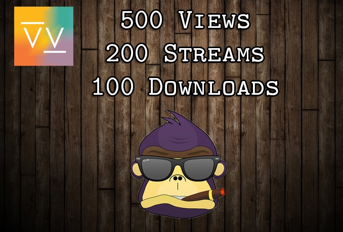 provide 500 spinrilla views + 200 streams + 100 downloads