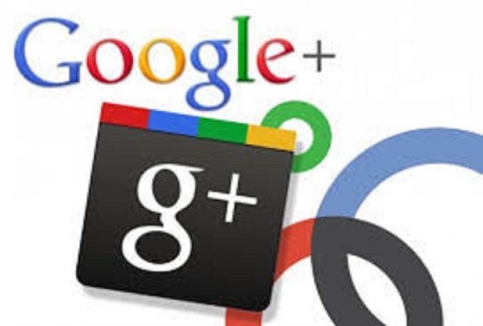 deliver 200++ Google plus Circles followers Real Human to seo rock up your high rank on google