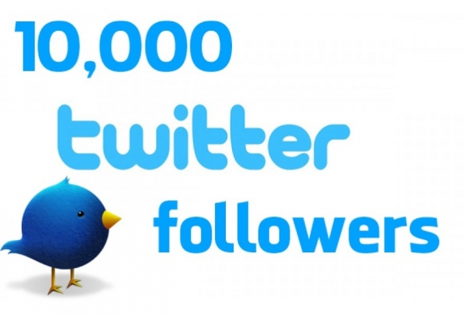 Provide You 10,000 Real Human Unique Active Twitter Followers 100% Safely