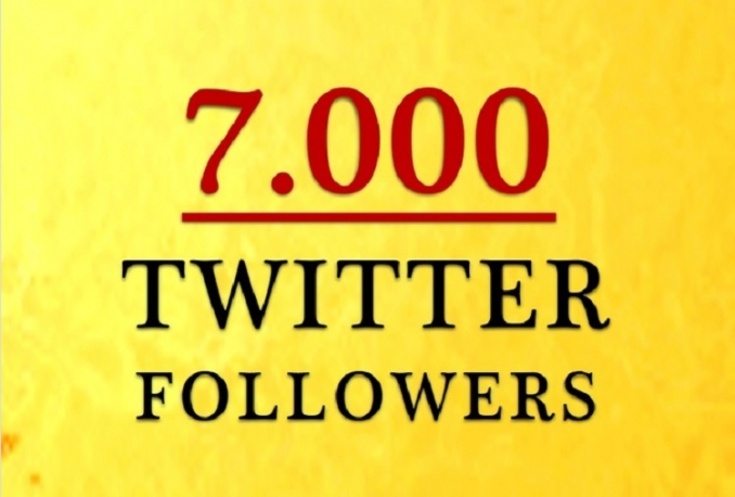 Give you fast Non Drop 7,000 twitter followes Instant 24hrs