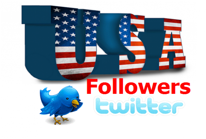 add 500+ USA High Quality Guaranteed non drop twitter followers