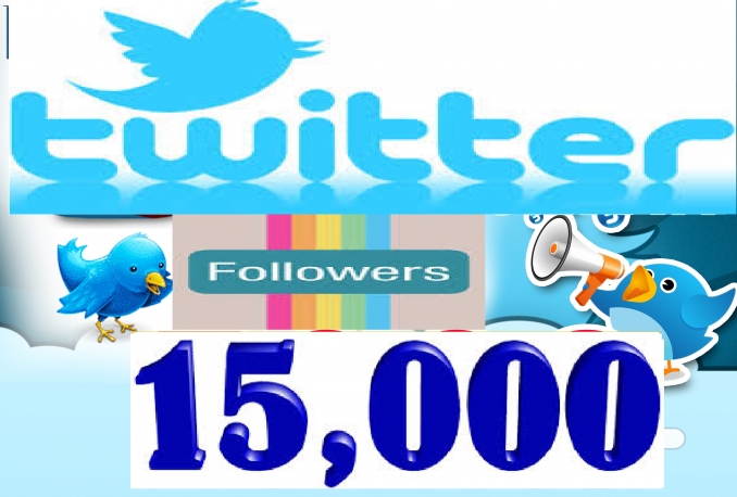 Provide 100% Highest Quality Non Drop 15,000+ Followers