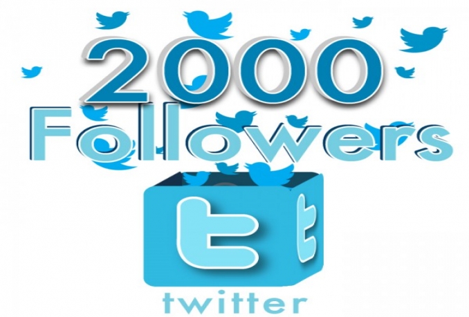 give you 2000+ High Quality No eggs Guaranteed Non Drop twitter follower