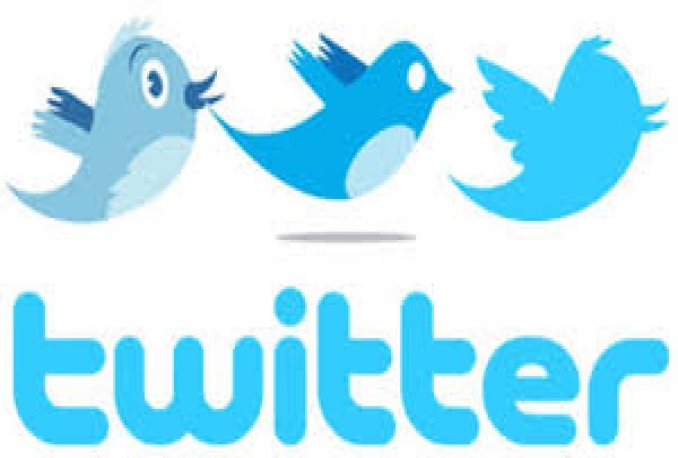 add 4000 REAL USA,UK twitter followers to your twitter account 