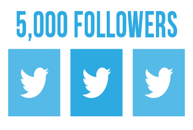 give you 5000 followers in your twitter account 