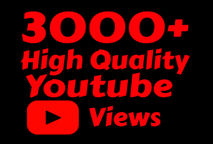 Provide 3000 REAL FAST NON DROP YouTube Views