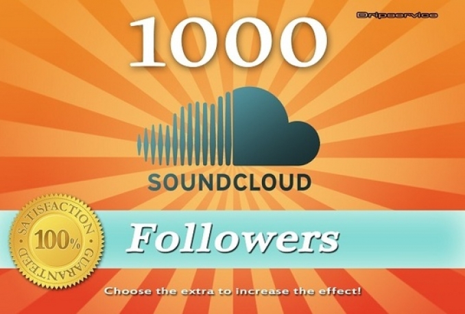 Provide 1000 Soundcloud Followers Instant start 
