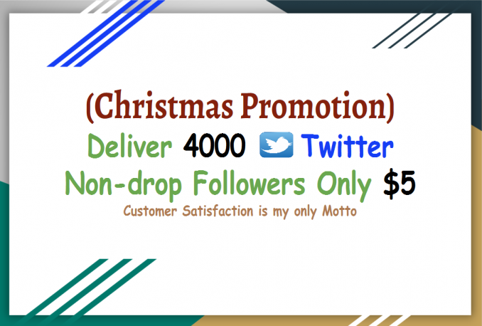 deliver 4000 Twitter Followers 